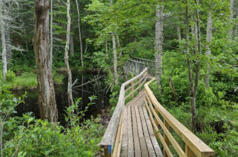 Take A Journey Through This One-Of-A-Kind Bridge Park In Rhode Island