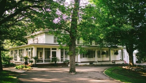 Wander Through The Shelves Of Avant Garden Books And Stop For Tea Time At The Mad Hatter Tea House In Minnesota