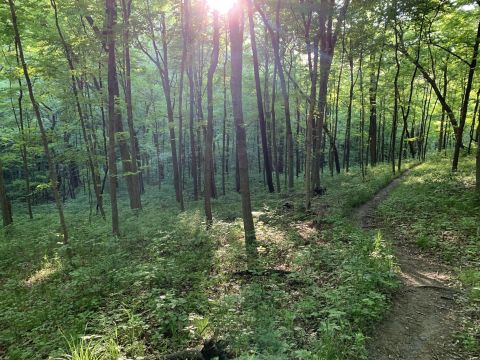 There's A Little-Known Nature Preserve Just Waiting For Missouri Explorers