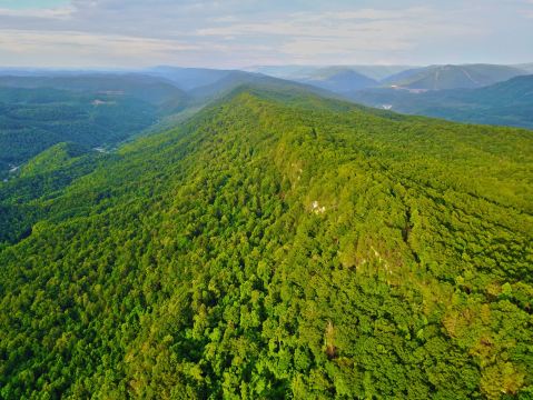 A True Hidden Gem, The 3,500-Acre Blanton Forest Nature Preserve Is Perfect For Kentucky Nature Lovers