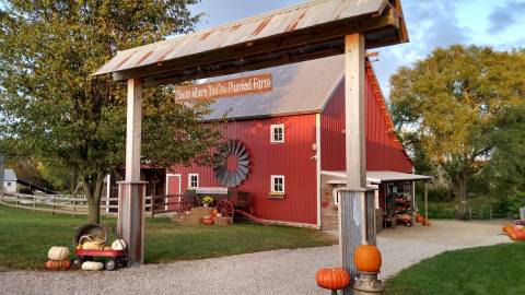 The Bloom Where You're Planted Pumpkin Patch Festival In Nebraska Is A Classic Fall Tradition