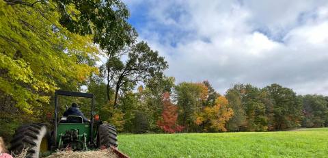 The Michigan Pumpkin Patch And Farm Where You Can Also Take A Hayride