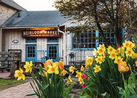 Dine On Tasty Food And Pick Up Heirloom Seeds At This Awesome Spot In Connecticut