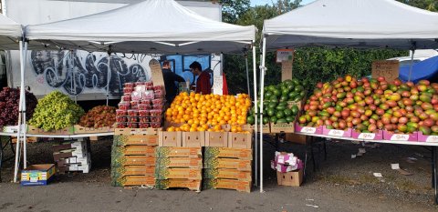 More Than Your Typical Flea Market, Boulevard Flea Market In Connecticut Draws A Crowd For Its Fun And Food