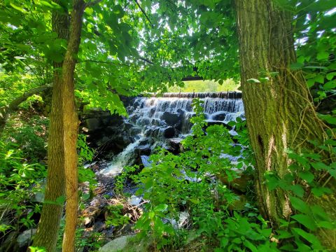 Don't Let These Stunning Views Fool You, Frenchtown Park Trail In Rhode Island Is Actually An Easy Hike