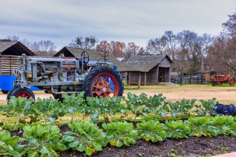 A True Hidden Gem, The Agricultural And Forestry Museum Is Perfect For Mississippi Nature Lovers