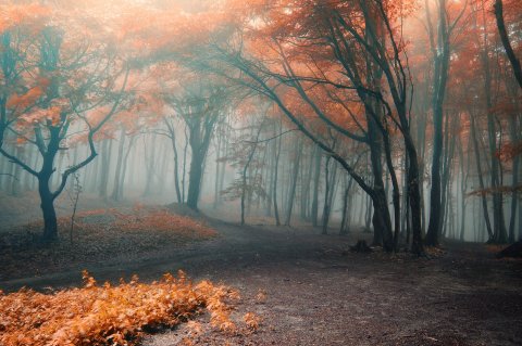 This Is The Absolute Best Town In Pennsylvania To Visit During The Halloween Season