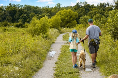 A True Hidden Gem, The 1,000-Acre Rowe Woods Is Perfect For Ohio Nature Lovers