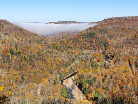 7 Overlooks In Pennsylvania That Burst With Fall Color Every Year