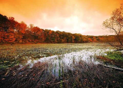 This Underrated Ohio State Park Might Be The Best Spot For Fall Leaf Peeping In The Buckeye State