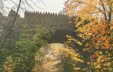 There's Nothing Quite As Magical As This Tunnel In The Trees You'll Find At Magney-Snively Park In Minnesota