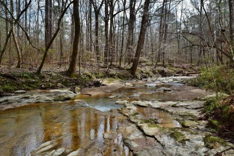 A True Hidden Gem, The 7,524-Acre J.C. Sonny Gilbert Wildlife Management Area Is Perfect For Louisiana Nature Lovers