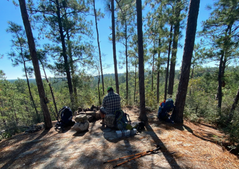 Don't Let These Stunning Views Fool You, The Backbone Trail In Louisiana Is Actually An Easy Hike