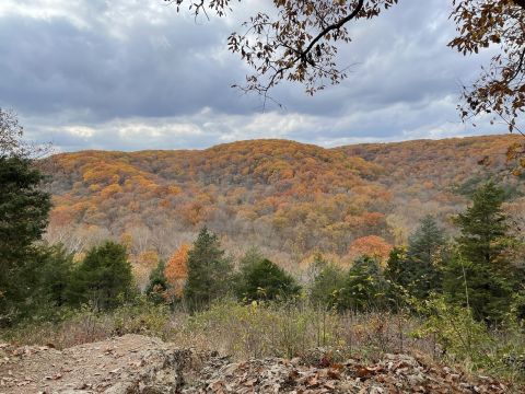 7 Overlooks In Missouri That Burst With Fall Color Every Year