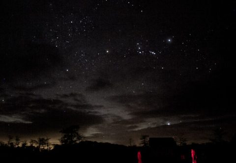 Florida Is Home To One Of The Last Protected Dark Sky Reserves In The World