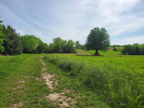 There's A Kansas Trail In A Nature Preserve That The Entire Family Will Love