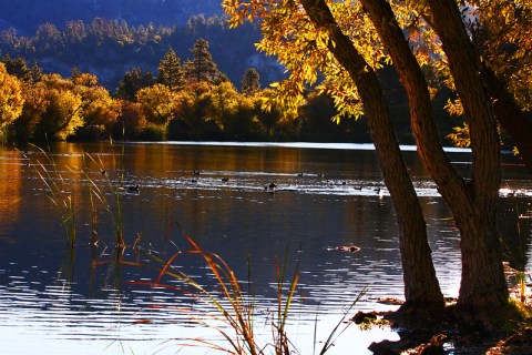 This Southern California Bike Ride Leads To The Most Stunning Fall Foliage You've Ever Seen