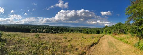 A True Hidden Gem, The 40-Acre Auerfarm State Park Scenic Reserve Is Perfect For Connecticut Nature Lovers