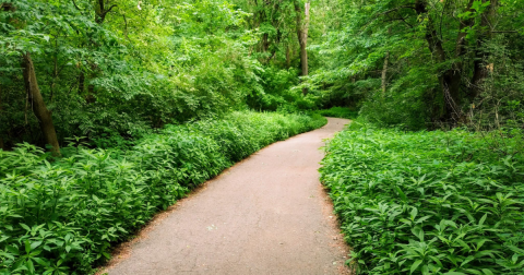 Detroit's Nearby Rouge River Gateway Trail Leads To A Magnificent Hidden Oasis