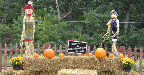 Take These Pumpkin-Themed Train Rides In Wisconsin For An Unforgettable Fall Season