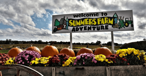 Go Pumpkin Picking, Then Sleep In A Cabin Surrounded By Fall Foliage On This Weekend Getaway In Maryland