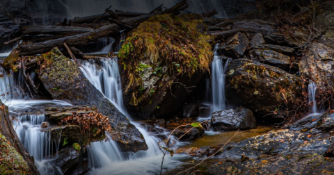 Anna Ruby Falls In Georgia Will Soon Be Surrounded By Beautiful Fall Colors