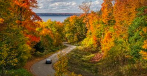 Go Apple-Picking, Then Sleep In A Cabin Surrounded By Fall Foliage On This Weekend Getaway In Michigan