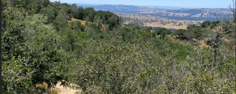 This Easy Fall Hike In Northern California Is Under 2 Miles And You'll Love Every Step You Take