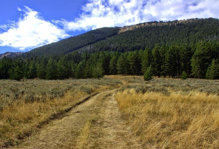 A path leads to the tree covered hillside of Big Pryor Mountain - an underrated formation in Eastern Montana