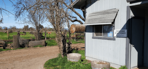 There's A Cheese Haven Hiding In Northern California And It's Everything You've Dreamed And More