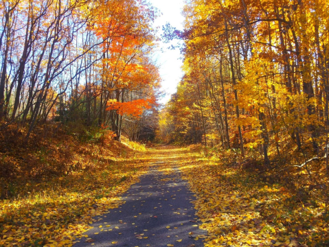 This Michigan Bike Ride Leads To The Most Stunning Fall Foliage You've Ever Seen