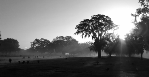 The Haunted Cemetery In Florida Both History Buffs And Ghost Hunters Will Love