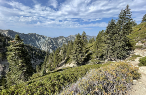 Take An Unforgettable Hike To The Top Of Southern California’s Highest Mountain