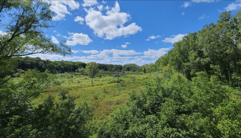 A True Hidden Gem, The 60-Acre Bow In The Clouds Preserve Is Perfect For Michigan Nature Lovers