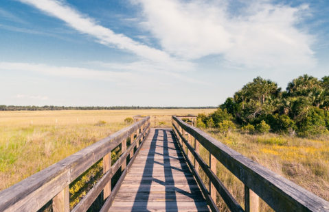 A True Hidden Gem, The 32,000-Acre Okaloacoochee Slough State Forest Is Perfect For Florida Nature Lovers