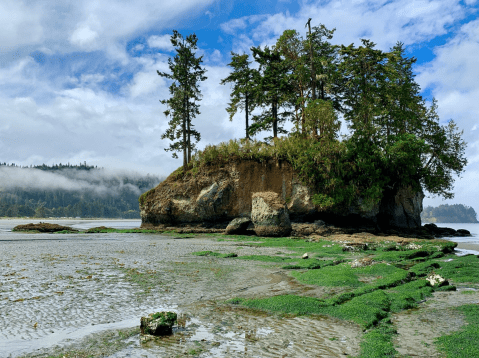 A True Hidden Gem, The 190-Acre Salt Creek Recreation Area Is Perfect For Washington Nature Lovers