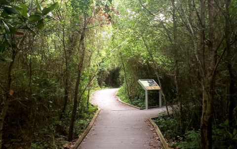 There's A Little-Known Nature Preserve Just Waiting For Florida Explorers