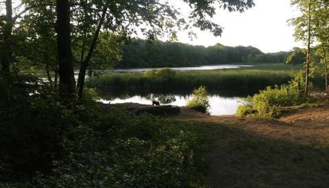 There's A Little-Known Wildlife Refuge Just Waiting For Massachusetts Explorers