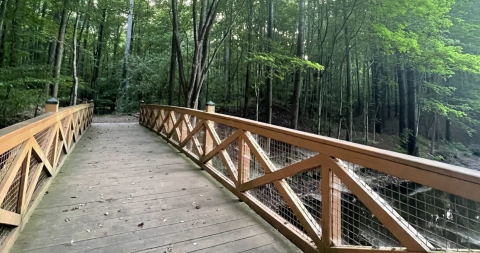Take An Easy Loop Trail Past Some Of The Prettiest Scenery In Virginia On The Molly Mitchell Trail