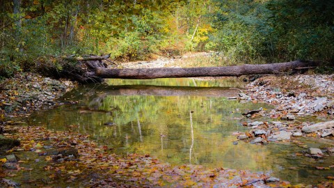 The Awesome Hike That Will Take You To The Most Spectacular Fall Foliage In Indiana