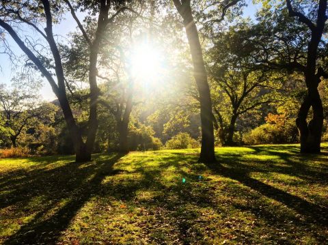 The Awesome Hike That Will Take You To The Most Spectacular Fall Foliage In Southern California