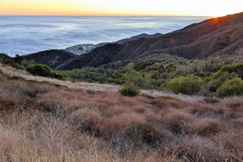 A True Hidden Gem, The 11,525-Acre Topanga State Park Is Perfect For Southern California Nature Lovers