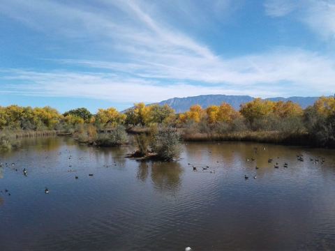 Tiny But Mighty, One Of The Smallest State Parks In New Mexico Is A Hidden Gem Worth Exploring