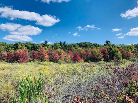 Don't Let These Stunning Views Fool You, Hofma Preserve Loop In Michigan Is Actually An Easy Hike