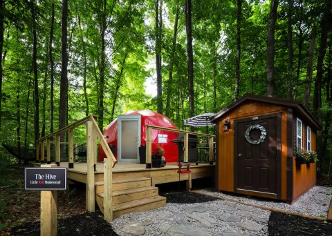 There's A Dome Airbnb In Michigan Where You Can Truly Sleep Beneath The Stars