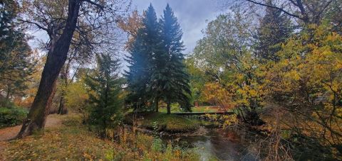 There's An Idaho Trail That Leads To The Boise River The Entire Family Will Love