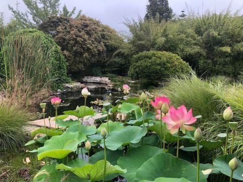 Take A Stroll Through Seaside Gardens, Then Dine Al Fresco At Thario's Kitchen In Southern California