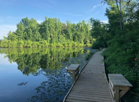 A True Hidden Gem, Harvest Square Nature Preserve Is Perfect For Alabama Nature Lovers