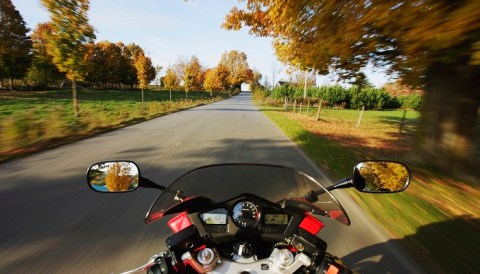 This South Carolina Bike Ride Leads To The Most Stunning Fall Foliage You've Ever Seen