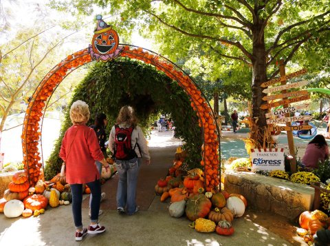 A Witches & Wizards Themed Festival Is Coming To Oklahoma And It’s Pure Magic